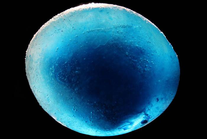 Ice Marble made with food colors and water in a balloon in the freezer.